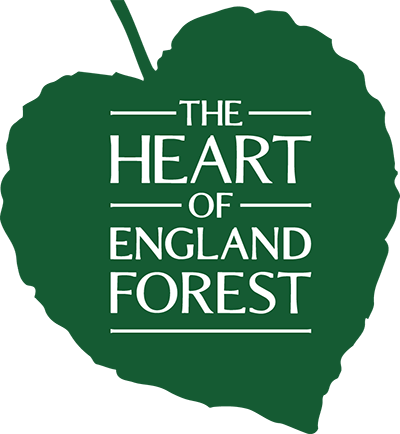 The Heart of England Forest